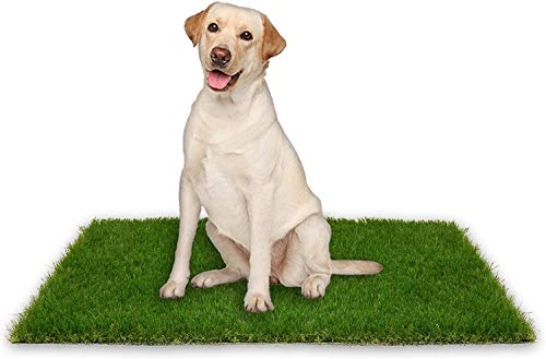 PICK FOR LIFE Hunde-Gras-Toilette (1 gras) von PICK FOR LIFE