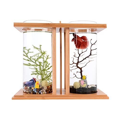 Kreatives Aquarium, kleines Aquarium mit LED, Kampffischbecken mit Trennwand und Holzsockel, Mini-DIY-Aquarium mit Doppelglas for den Schreibtisch, mehrere Kampffischbecken for den Tisch, Möbeldekorat von PINFANSHIJIE