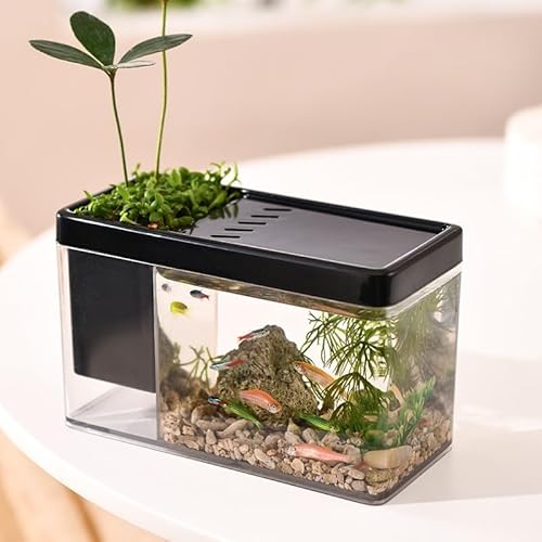 Neue Gold-Fischbox, Kleiner Aquariumständer, transparenter Stifthalter, Schreibwaren-Aufbewahrungsbox, kleine Öko-Box for den Schreibtisch, for das Büro, Landschaftsgestaltung, Fischzucht im Aquarium von PINFANSHIJIE