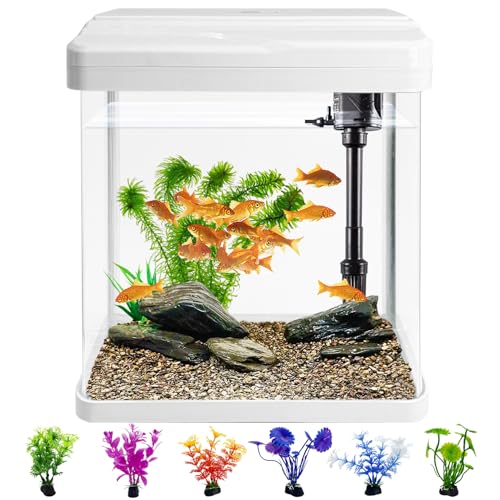 Kleines Aquarium, Glas-Aquarium-Starter-Set mit 6 Kunststoffpflanzen, Betta-Fischbecken für Garnelen, Guppy, Quallen, Goldfisch, Beta, Raumdekoration, Desktop von PINVNBY