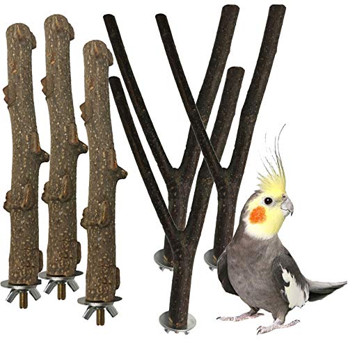 PINVNBY 6 Packungen natürliche Vogelholz-Sitzstange Sittich Stehspielzeug Sticks Papageienpfote Schleifen Äste Nymphensittiche Käfig Kauzubehör für Aras Finken von PINVNBY