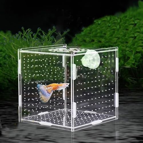 PINVNBY Acryl-Fischzuchtbox, Fischtrenner für Aquarium, Acryl-Brutkasten mit Saugnäpfen, Isolationsbox für Babyfische, Garnelen, Betta und Guppy, 9,9 x 9,9 x 9,9 cm von PINVNBY