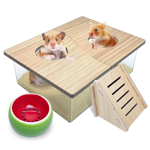 PINVNBY Hamster Sand Badebox, Transparent Acryl Sandbad Dusche, Rennmäuse Graben Raum Container mit Kletterleiter und Keramikschale, Katzentoilette für Hamster, Meerschweinchen, Mäuse (Zwei-Loch-Box) von PINVNBY