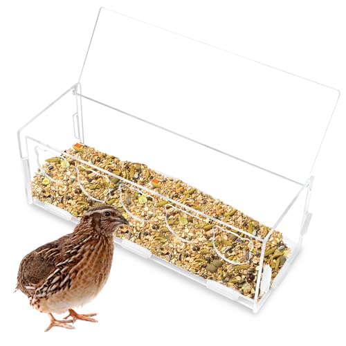 PINVNBY Hamster Sandbad Container, Kleintier Sand Badebox Transparent Acryl Hamster Badewanne Sandkasten für Zwerghamster Käfig Zubehör von PINVNBY