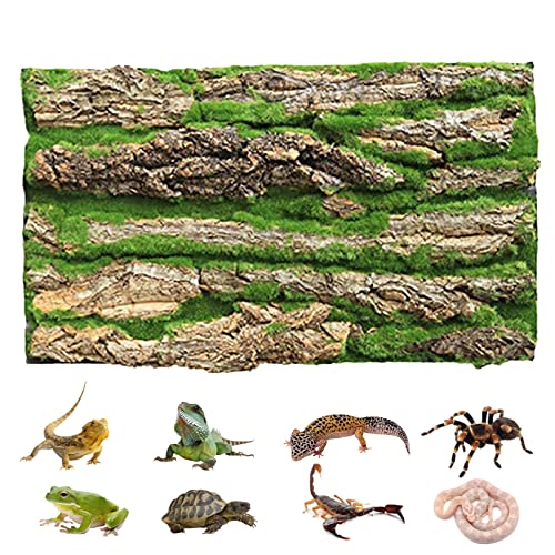 PINVNBY Reptilien-Kork-Terrarium-Hintergrund, Bartdrache, Aquarium, natürliche Rinde, Wand-Habitat-Dekor mit künstlichem Moos, 40 x 29 cm, Reptilienteppich für Gecko, Eidechse, Schildkröte, Frosch, von PINVNBY