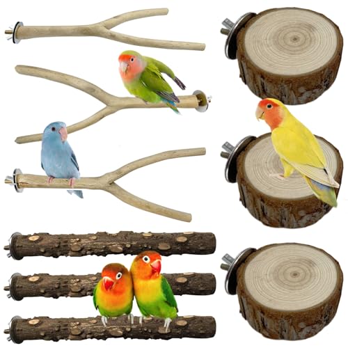 PINVNBY Sitzstangen aus natürlichem Holz für Vögel, Vogelsitzstangen für Käfig, Holzsitzstangen, Spielzeug, Zubehör für Sittiche, Nymphensittiche, Papageien, Wellensittiche, Sittiche, Sittiche, von PINVNBY