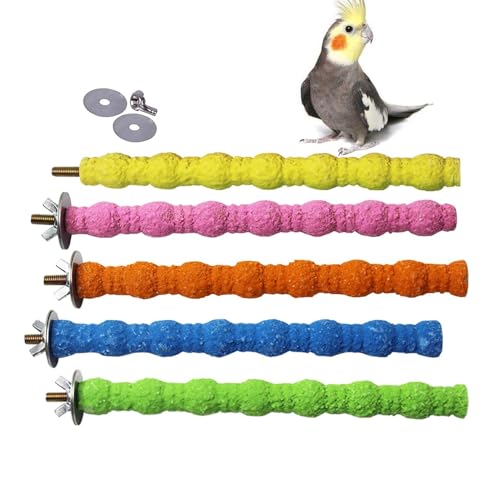 PINVNBY Vogelsitzstange Papageienständer Käfigzubehör Natürlicher Holzstab Pfote Schleifen Raue Oberfläche Kauspielzeug für Kakadus,Kakadu,Lorikeet,Sittich,Sittich 5 Pack (Zufällige Farbe,6.29inch) von PINVNBY