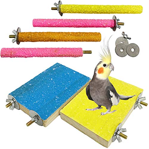 PINVNBY Vogelsitzstange Stand Spielzeug Natürliche Holz Papageien Krallen Sticks Wellensittich Spielplatz Schleifen Pfoten Käfig Zubehör Übungsspielzeug für Nymphensittich Conure Sittich von PINVNBY