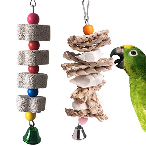 PIVBY Papageienspielzeug Kauspielzeug Cuttlebone Schnabel Schleifstein Käfig Hängende Spielzeug mit Glocke für afrikanische Grauen Amazonaskonure Eclectus Wellensittiche Sittiche Nymphensittiche Hamster Chinchilla Kaninchen, 2 Stück von PINVNBY