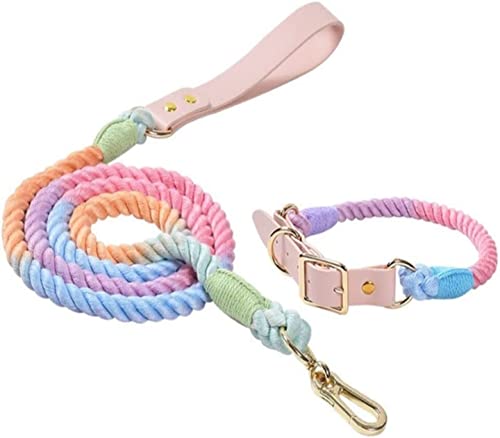 Hundeleine Klassische Farbiges Hundehalsband, Hundeleine, Geeignet Für Kleine, Mittlere Und Große Hunde Im Freien Führleine für Hunde (Color : A, Size : 37-44cm) von PIPONS