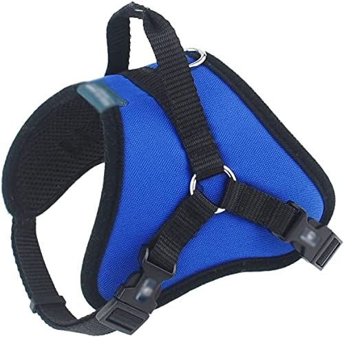 Hundeleine Klassische Haustier Hund Weste Atmungsaktives Mesh Halsband Zubehör Hundepolsterung Verstellbarer Sicherheitsgurt Geeignet Für Hunde Führleine für Hunde (Color : Blue, Size : 59-88cm) von PIPONS