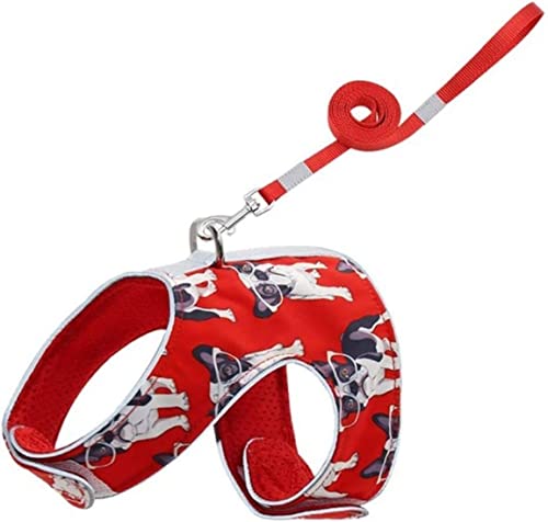 Hundeleine Klassische Haustiergeschirr Und Leine Für Kleine Hunde, Welpen, Katzen, Weste, Geschirr, Halsband Für Mops, Bulldogge, Katzen Führleine für Hunde (Color : Rood, Size : 31-35cm) von PIPONS