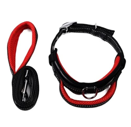 Hundeleine Klassische Nylon Haustier Hundehalsband Leine Set Verstellbare Trainingsleinen Kleine Mittelgroße Hunde Sicherheitsbleihalsbänder Führleine für Hunde (Color : Rood, Size : 2.0cm*120cm) von PIPONS