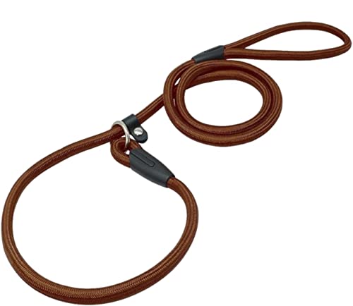 Hundeleine Klassische Nylon-Hundeleine Für Haustiere, Welpen, Lauftraining, Hundeleine, Gürtelriemen, Halsband, Seil Für Hunde, Haustierbedarf Führleine für Hunde (Color : Coffee, Size : 0.6 * 140cm) von PIPONS