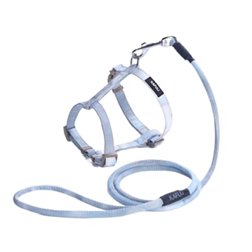 Hundeleine Klassische Traktionsseil Anti-Break Away, Seil-Walking-Weste Typ Einziehbares Kettenhalsband Heimtierbedarf Führleine für Hunde (Color : Blue, Size : 15-20cm) von PIPONS