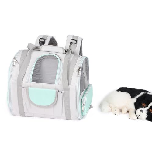 Katzentasche, Katzen Rucksack, Katzenrucksack Mit Fenster, Faltbare Oxford Katzentransporttasche, Katzenrucksack Große Katzen, Hunde Tragetasche Für Außenbereich,Cyan von PJDDP