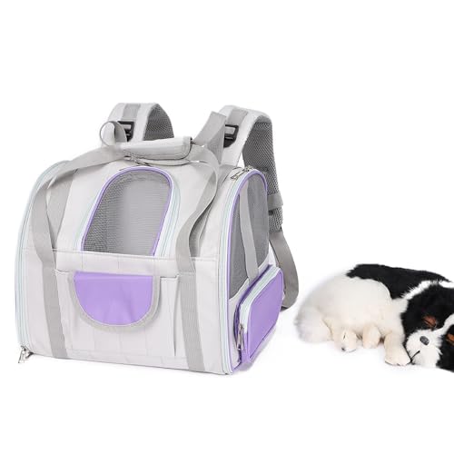 PJDDP Katzentasche, Katzen Rucksack, Katzenrucksack Mit Fenster, Faltbare Oxford Katzentransporttasche, Katzenrucksack Große Katzen, Hunde Tragetasche Für Außenbereich,Lila von PJDDP