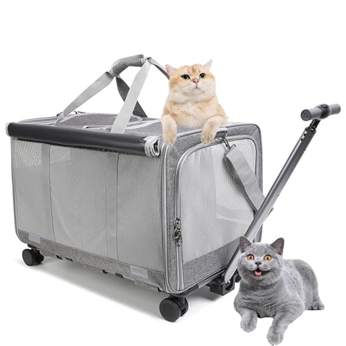 PJDDP Katzentransportbox Mit Rollen Große Katzen Für 2 Katzen Hunde Faltbar Tragetasche, Super Belüftetes Design, Ideal Für Reisen/Spazierengehen/Camping von PJDDP