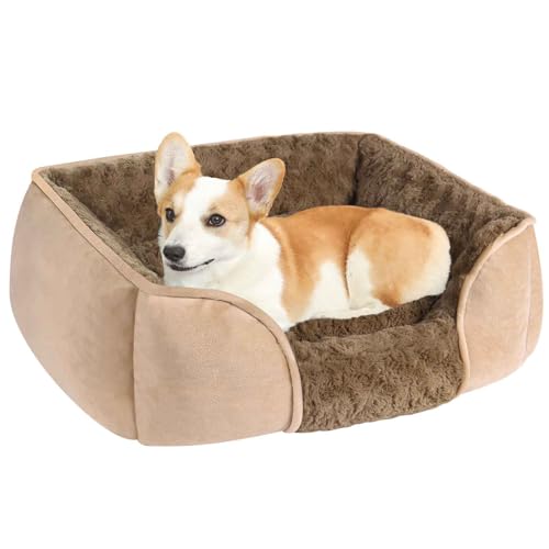 PJDDP Haustiersofa, Hundebett Grosse Hunde, Hundebett Waschbar, Rutschfestes Haustierbett, Süßes Flauschiges Haustier-Couchbett Für Welpen,Khaki,M von PJDDP