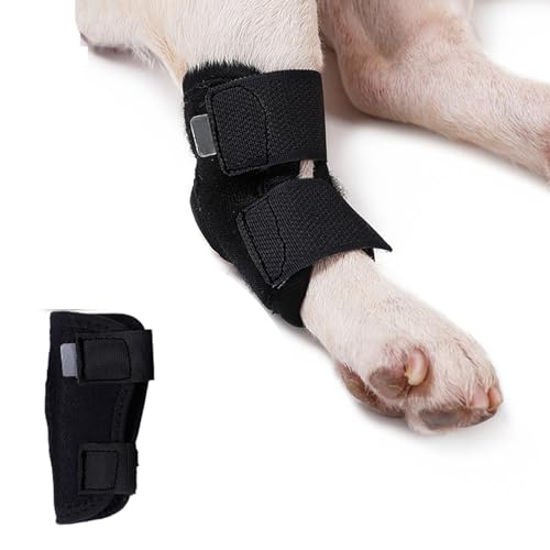 PJDDP Hunde-Kniebandage Für Das Hintere Sprunggelenk, Beugt Verletzungen Und Verstauchungen Vor, Ältere Hunde Hinterbein-Sprunggelenkbandage Für Gerissene Hinterbeine,XL von PJDDP