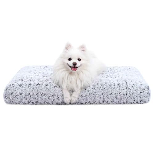 PJDDP Hundebett, Hundematte, Haustierbett Für Hunde Katzen, Plüsch-Hundesofakissen Mit Rutschfestem Boden Für Kleine Mittelgroße Und Große Hunde,Light Gray,S von PJDDP