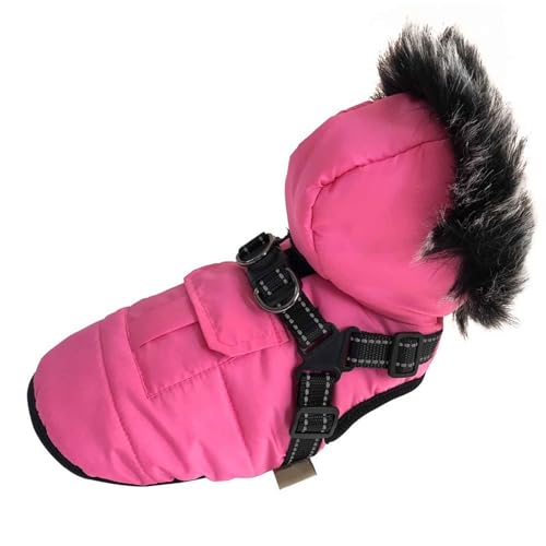 PJDDP Hundejacke Für Den Winter, Wasserdichter Hundemantel, Reflektierende Weste Hundekleidung Mit Geschirr, Für Kleine Hunde,Rosa,L von PJDDP