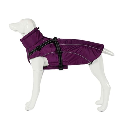 PJDDP Hundejacken Wasserdicht Für Winter, Reflektierende Hundeweste Mit Geschirr, Warme Rollkragen Hundejacke, Für Kleine Mittelgroße Grosse Hunde,Lila,M von PJDDP