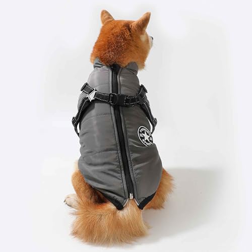 PJDDP Hundemantel Wasserdicht, Winter Hundejacke, Winddichte Hundekleidung Mit Reflektierender Streifen Und Geschirr, Für Kleine Mittelere Hunde,Grau,M von PJDDP