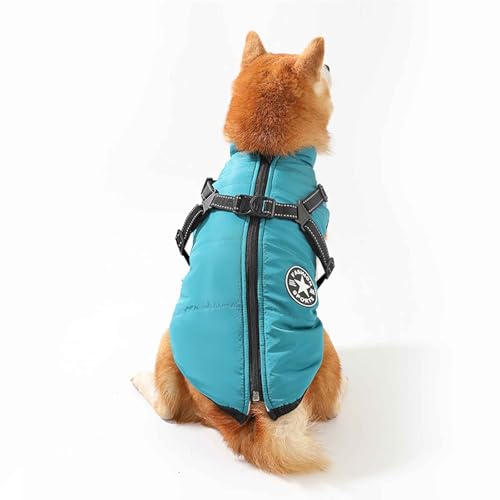 PJDDP Hundemantel Wasserdicht, Winter Hundejacke, Winddichte Hundekleidung Mit Reflektierender Streifen Und Geschirr, Für Kleine Mittelere Hunde,Lake Blue,S von PJDDP