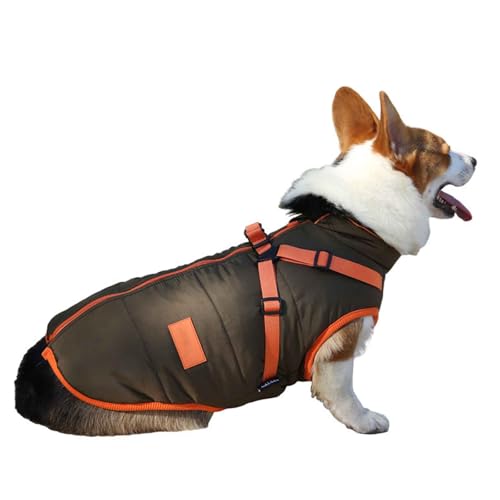 PJDDP Hundemantel Winter, Wasserdichter Hundemantel Mit Geschirr, Warme Hundejacke Mit D-Ring Und Reflektierenden Streifen Für Kleine, Mittlere Hunde,M von PJDDP