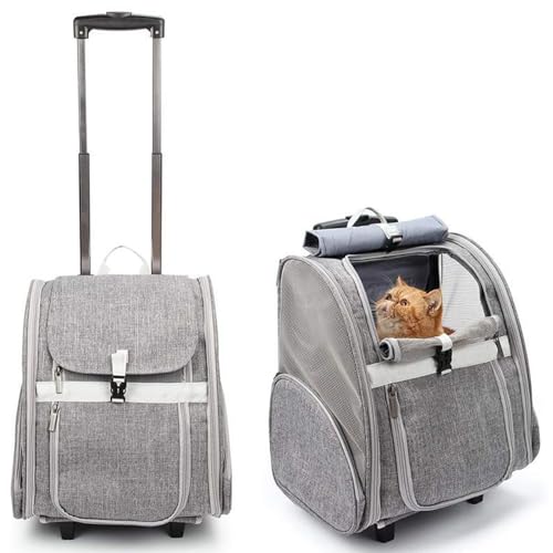 PJDDP Hunderucksack Mit Trolley, Katzenrucksack Große Katzen,Hunderucksack Bis 5Kg,2 in 1 Katzenrucksack Mit Rollen Für Transport,Multifunktionaler Rucksack Mit Anti-Offener Reißverschluss von PJDDP