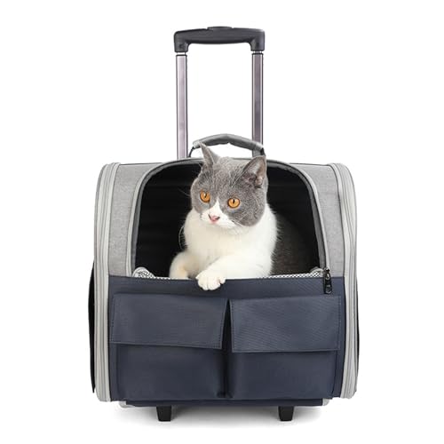 PJDDP Pet Carrier Mit Rädern, Pet Rolling Carrier Rucksack, Rucksack Kinderwagen Für Hunde, Abnehmbare Und Faltbare Katze Rucksack Mit Aufbewahrungstaschen,Schwarz von PJDDP