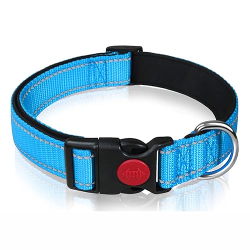 PJDDP Reflektierendes Hundehalsband, Gepolstert Mit Weichem Neopren, Atmungsaktiv, Schnellverschluss, Einfache Hundehalsbänder,Blau,L von PJDDP