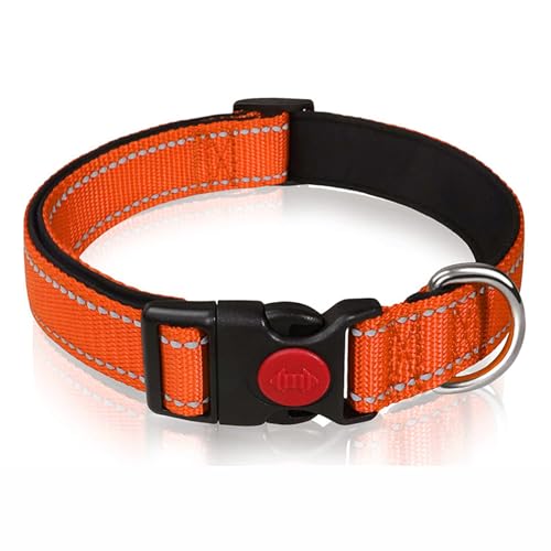 PJDDP Reflektierendes Hundehalsband, Gepolstert Mit Weichem Neopren, Atmungsaktiv, Schnellverschluss, Einfache Hundehalsbänder,Grau,S von PJDDP