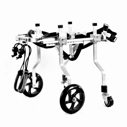 PJDDP Verstellbarer 4-Rad-Hundewagen/Rollstuhl, Für Haustiere/Hunde, Voll Stützende Rollstühle Mit Behinderten Hinterbeinen Beim Gehen, Geringes Gewicht, Einfache Montage,L von PJDDP