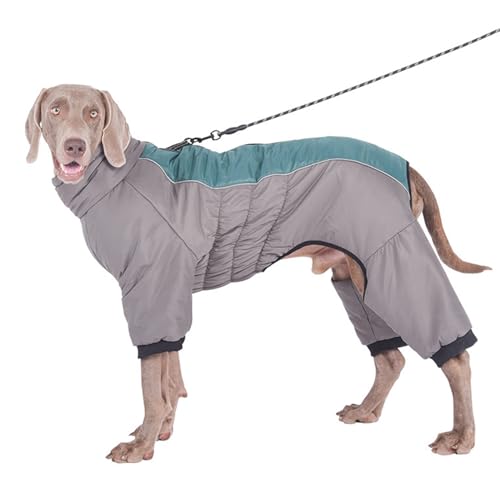 PJDDP Vier -Beinhund -Mantel wasserdicht, reflektierender Hunde Wintermantel Ganzer Körper Winterhundweste mit gebautem Geschirr Hundejacke mit Reißverschluss,Grün,5XL von PJDDP