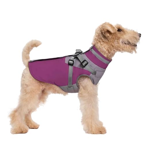 PJDDP Warme Hundejacke, Hunde Winterjacken, Winddichte Hundemantel, Wasserdichter Hundemantel, Reflektierend Hundemäntel, Für Kaltes Wetter Für Kleine Hunde,Lila,M von PJDDP