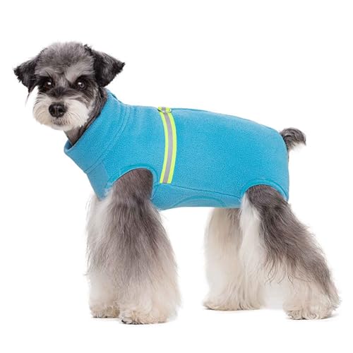 PJDDP Warmer Hundemantel, Winddichte Jacke, Hundeweste, Winter Hundemantel Mit D-Ring Und Reflektierender Streifen, Für Kleine Hund, Spazierengehen, Wandern,Blau,XS von PJDDP