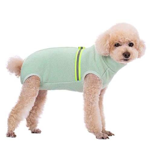 PJDDP Warmer Hundemantel, Winddichte Jacke, Hundeweste, Winter Hundemantel Mit D-Ring Und Reflektierender Streifen, Für Kleine Hund, Spazierengehen, Wandern,Mint Green,XXL von PJDDP