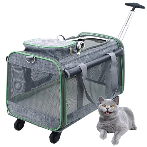 Transportbox Katze Für Kleine Und Mittelgroße Hunde Und Katzen Haustiere Bis 9Kg, Reisetasche Mit Rollen & Teleskopgriff, Transportbox Für Kleintiere,Grau von PJDDP