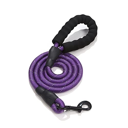 Hundehalsband, für große Hunde, Größe M, Violett von PJRYC