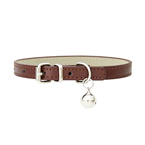 PJRYC Halsband für Hunde und Katzen, verstellbar, Größe XS (UK) von PJRYC