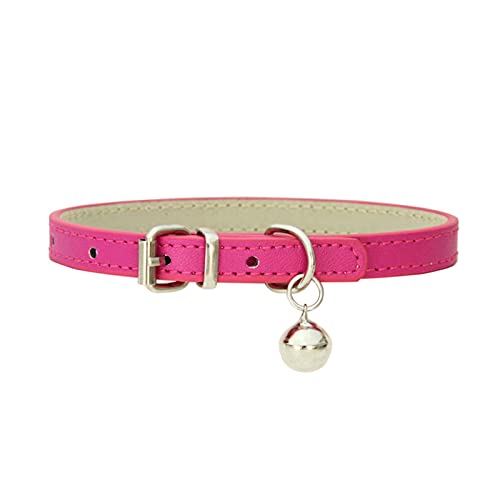 PJRYC Halsband für kleine Hunde und Katzen, verstellbar, Größe S von PJRYC