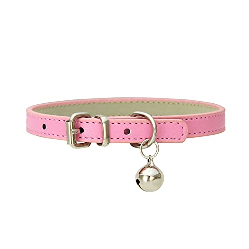 PJRYC Halsband für kleine Hunde und Katzen, verstellbar, Größe S von PJRYC