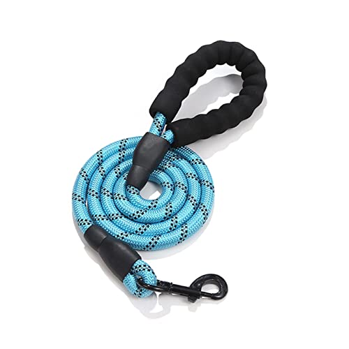 PJRYC Hundehalsband, für große Hunde, Größe M, Hellblau, Einheitsgröße von PJRYC