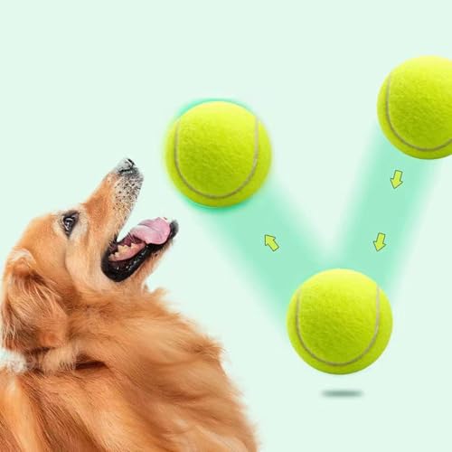 PKRANZYHKAL Tennisbälle für Hunde, hohe Sprungkraft, sicher und ungiftig, für Outdoor-Training und Spaß, 6 cm, Tennisbälle für Hunde, verbessern Bindung und Intelligenz, 12 Stück von PKRANZYHKAL