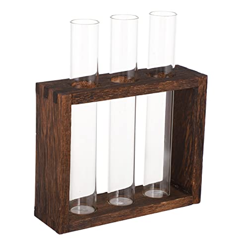 PLAFOPE 1 Satz Vase Zierbehälter Zimmerpflanzen Drinnen Leben Pflanzenhalter Für Den Schreibtisch Wasserpflanzen Terrarium Desktop Pflanzenterrarium Klare Glühbirnen Glas Schmücken Büro von PLAFOPE