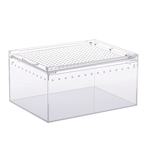 Futterbox Schlangenzuchtbox Eidechsenkäfig Lebensraum Schlüpfbehälter transparent tragbar von PLCPDM