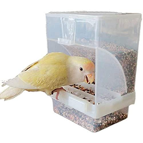 Futterbox für Papageien, auslaufsicher, Vogelfutterbox, Papageienfutterbehälter, bissfest, geeignet für Vögel, Papageien, klein für kleine von PLGEBR