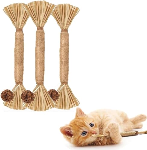PLGEBR Katzenspielzeug Silvervine Chew Stick Kitten Treat Katzenminze-Spielzeug Natürliches Zeug Katzenminze zum Dental der mit Indoor Zähne Reinigen von PLGEBR